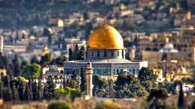 نائبان عربيان بالكنيست: إضراب فلسطيني شامل أول أكتوبر ضد 