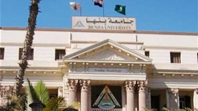 جامعة بنها تطرح 300 كيلو من الخيار للسوق المحلية
