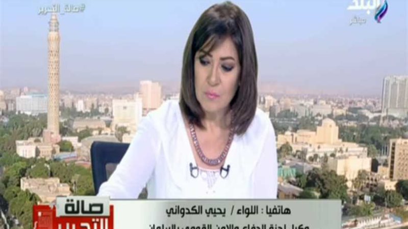 وكيل لجنة الأمن القومي