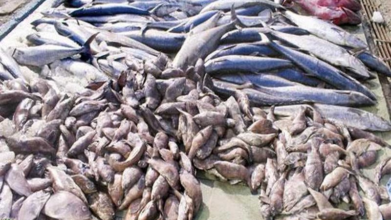 مصر واليمن يبحثان