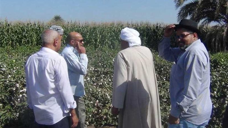 محافظ أسيوط : تسهيل