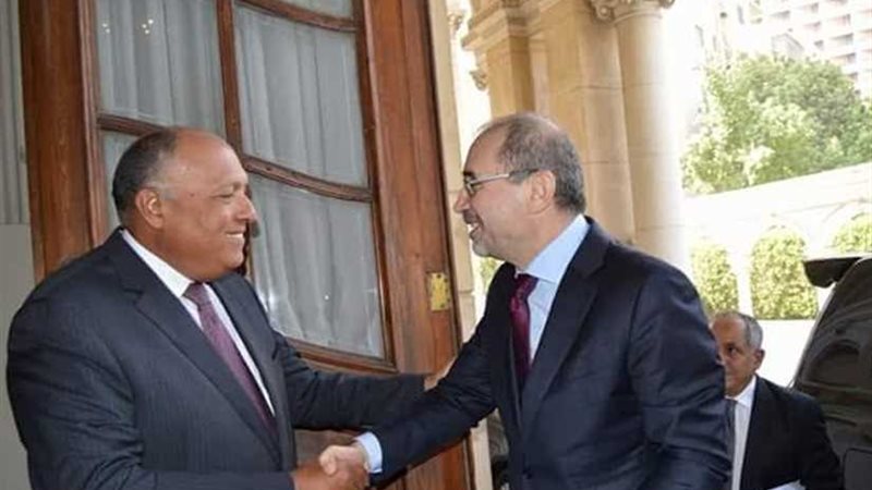 شكري يناقش مع وزير