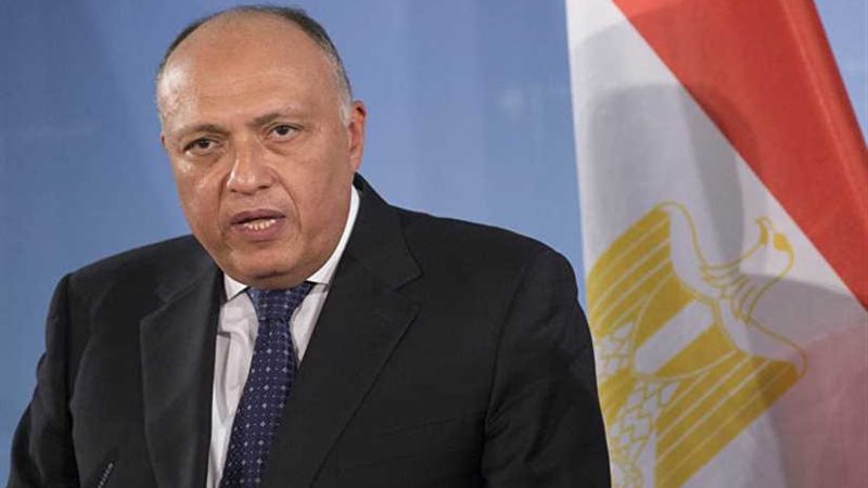 شكرى يطالب بخطة عمل