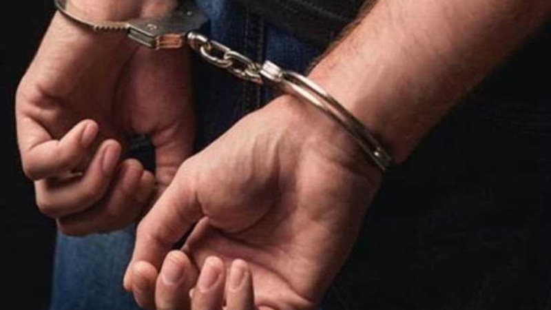 ضبط 4 ذئاب تعدوا