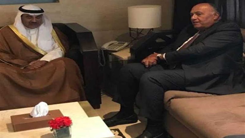 شكري يلتقي نظيره