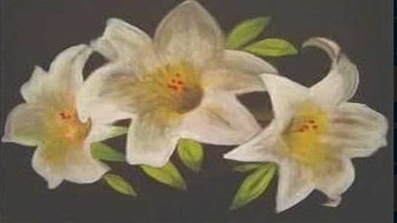 بالصور.. افتتاح معرض