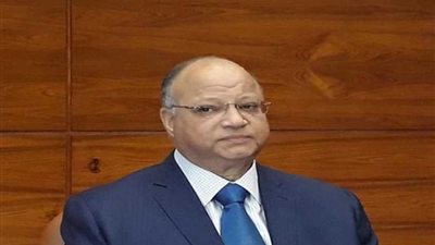 محافظ القاهرة : حملات تموينية مكثفة على الأسواق لضبط الأسعار وحماية المستهلك