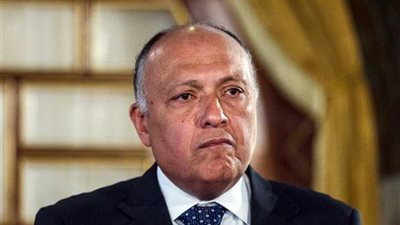 شكري يؤكد حرص مصر على تعزيز ودفع آلية التعاون مع اليونان وقبرص