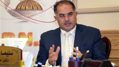 وكيل مجلس النواب: الناس الأكثر تضررًا من عدم توافر الطاقة المتجددة