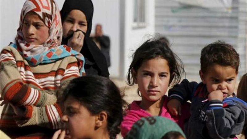 الشباب المصري يدعم