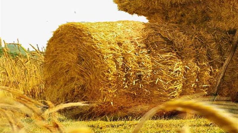 البحيرة تواجه السحابة