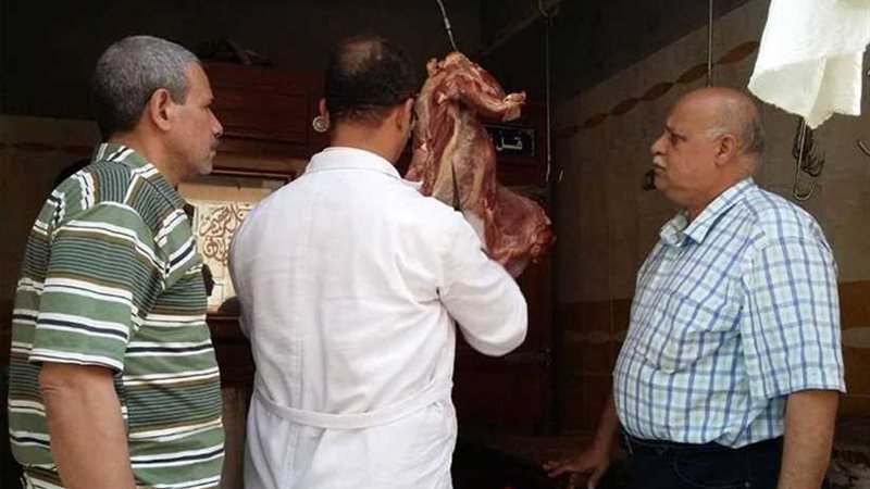 إعدام 15 كيلو لحومًا