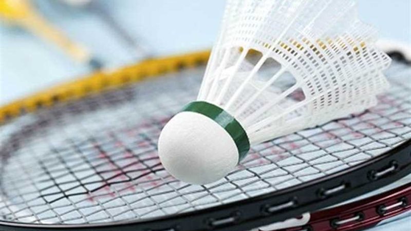 عمومية الريشة الطائرة