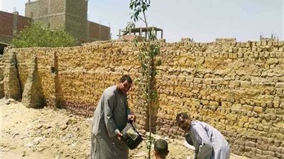 مركز ملوي بالمنيا يواصل تجميل وتطوير القرى بالجهود الذاتية