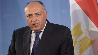 مصر تعرب عن خالص تعازيها في ضحايا فيضانات اجتاحت 10 ولايات بنيجيريا