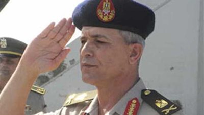 إقامة المنشآت ممنوعة بـ”المنوفية“ قبل الوقاية من النمل الأبيض