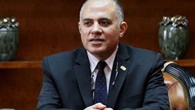 وزير الري يتفقد بعض المنشآت المصرية بالسودان