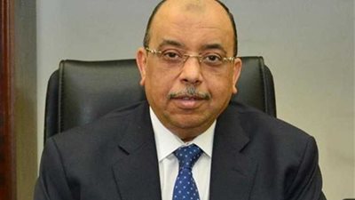 وزير التنمية المحلية: الحكومة حريصة على تنمية بالصعيد