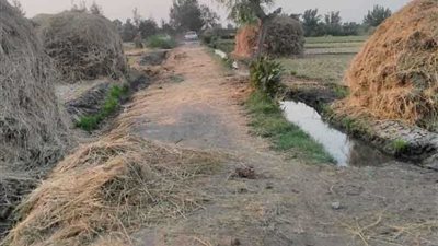 حملات مكبرة لمواجهة السحابة السوداء بمدينة الدلنجات