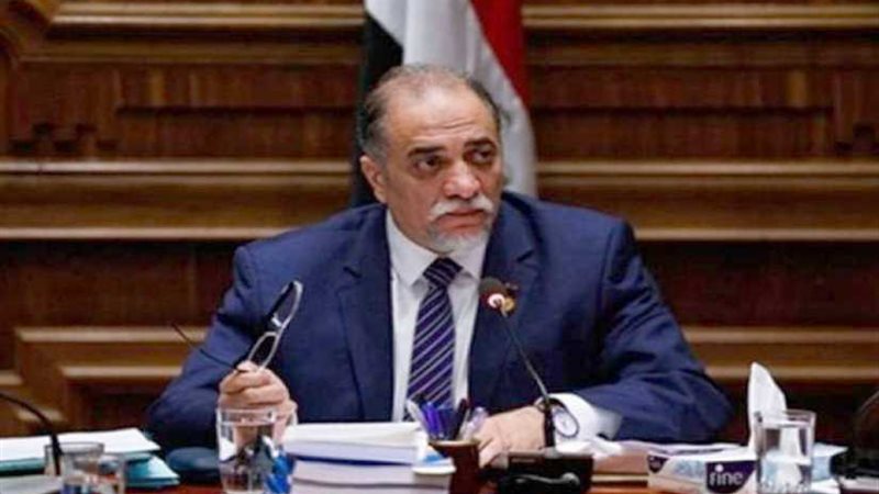 رئيس دعم مصر: تشريعات