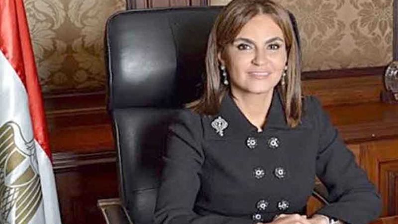 وزيرة الاستثمار: