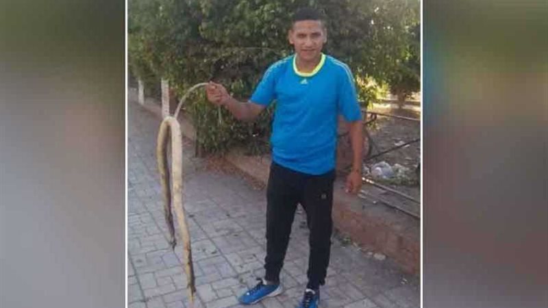 ثعبان يثير الذعر