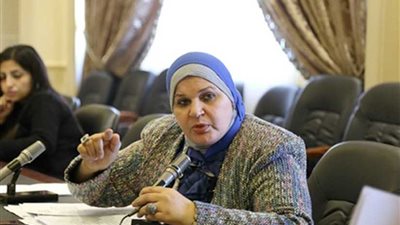 مايسة عطوة: البرلمان والحكومة إحدى القوى الدافعة لتحقيق التنمية