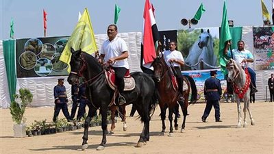 بدء فعاليات المهرجان الثالث والعشرين للخيول العربية بمحافظة الشرقية