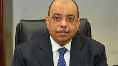 وزير التنمية المحلية يوجه بعقد ورش عمل لتدريب العاملين بـ