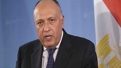 وزير الخارجية يتلقى اتصالًا هاتفيًا من نظيره الأيرلندي