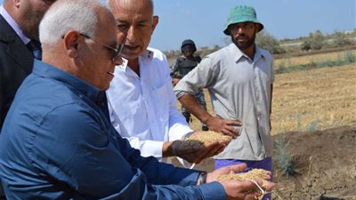 محافظ بورسعيد يشهد حصاد محصول الأرز بسهل الطينة