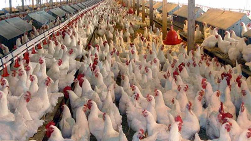 وضع حجر الأساس لأكبر