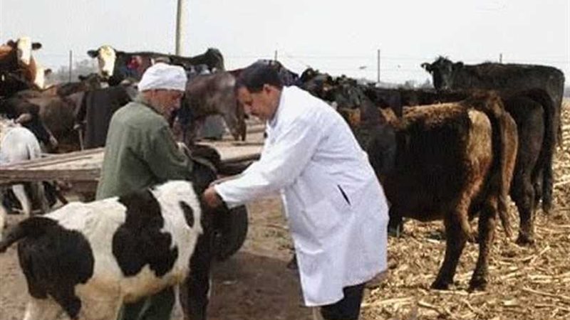 نائب وزير الزراعة