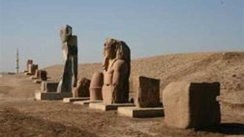 الآثار: إرسال خبير