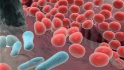 مدرس صحة عامة: الكائنات المجهرية بالجسم تقي من الأمراض المزمنة