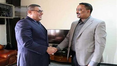 وزير خارجية إثيوبيا: لا يمكن لبلادنا الإضرار بمصر وشعبها