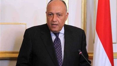وزير الخارجية: تلقينا طلبات كثيفة من قادة العالم للقاء الرئيس السيسي