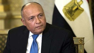 شكري: أحداث طرابلس أثبتت صحة رؤية مصر بضرورة بناء مؤسسات الدولة الوطنية