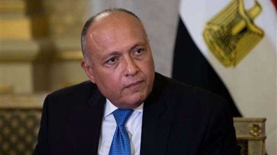 وزير الخارجية: نبرة الانتقادات الأمريكية لحقوق للإنسان خفتت والحريات يكفلها الدستور والقانون