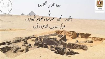 إقامة أول مدرسة حفائر مصرية متخصصة ودراسة المواد الأثرية المصرية المتقدمة