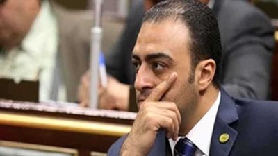 برلماني: زيارة الرئيس إلى الأمم المتحدة تساهم في زيادة التعاون مع دول العالم