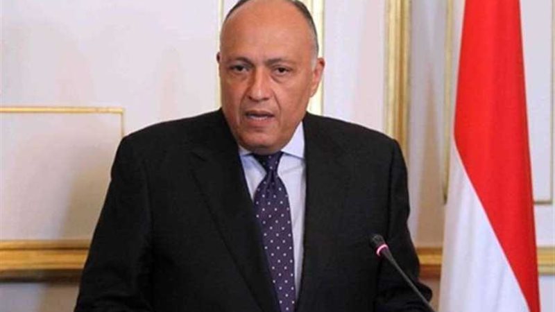 وزير الخارجية: تلقينا