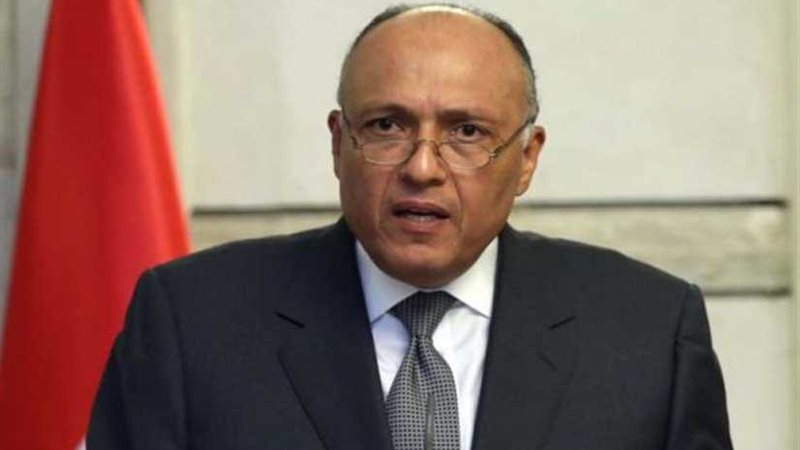 شكري: متمسكون بإقامة