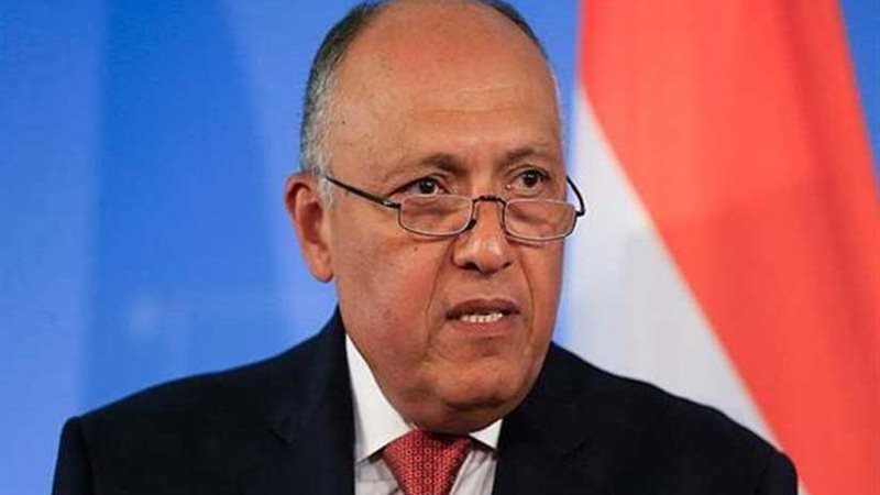 شكري: على المجتمع