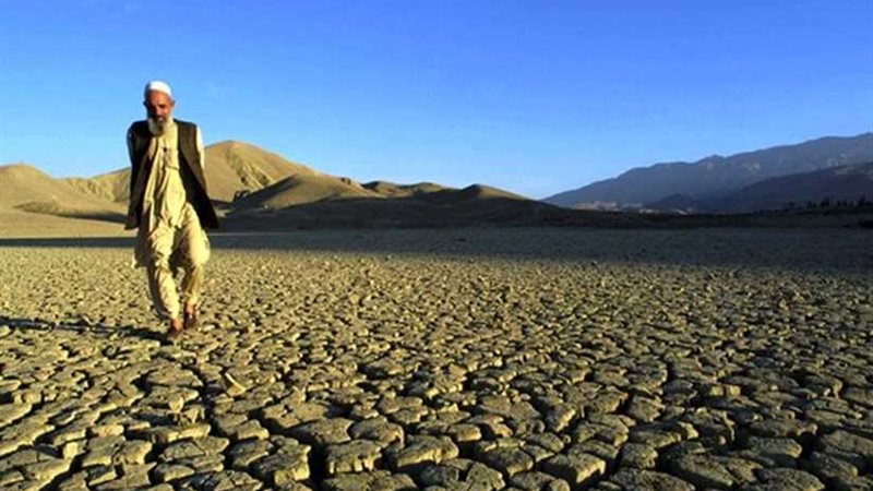 الولايات المتحدة