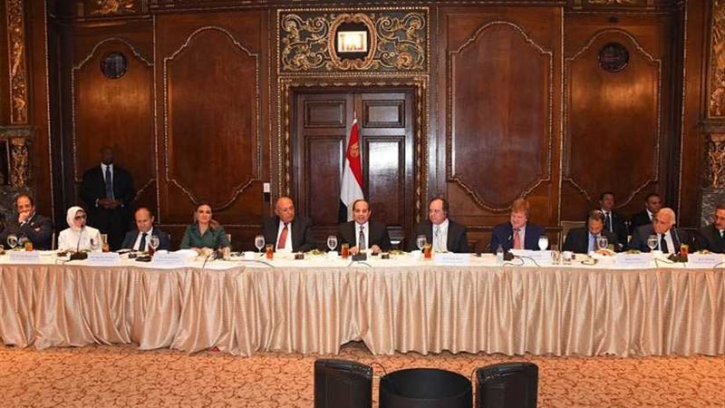 تفاصيل لقاء السيسي