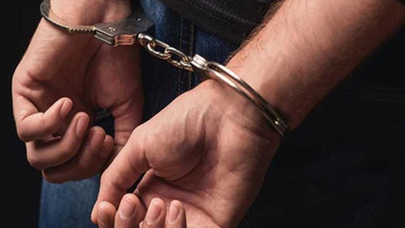 تاجر المحاصيل الزراعية