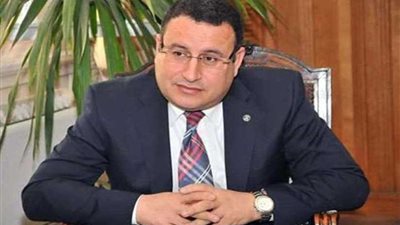 محافظ الإسكندرية : مصر والسعودية هما العمود الفقري للأمة العربية