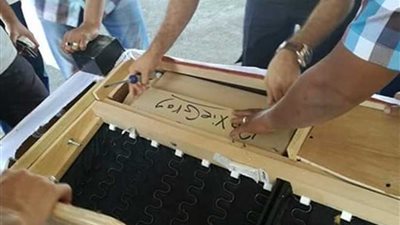 جمارك سفاجا تحبط 6 محاولات تهرب جمركي لكمية من البضائع