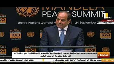 تعرف على نشاط السيسي في نيويورك (بالفيديو)